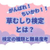ちいかわの草むしり検定の種類や難易度、草むしり検定について解説、考察しました