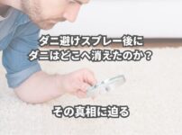 ダニ避けスプレーを使った後、ダニはどこへ行ってしまうのでしょうか？ 一度は気になったことはありませんか？ ダニを退治してくれるダニ避けスプレーの秘密に迫ります。