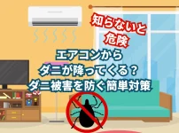 エアコン　ダニ降ってくる