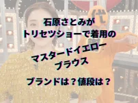 石原さとみ　トリセツショー着用　マスタードイエローのフリルブラウス　ブランド　値段