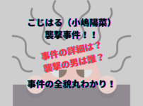 こじはるのイベント 襲撃した男は誰 事件の詳細