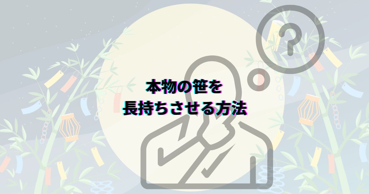 七夕の笹の葉はどこで買える?ダイソーや花屋・通販など入手先や本物・造花の選び方・値段・代用品まで解説